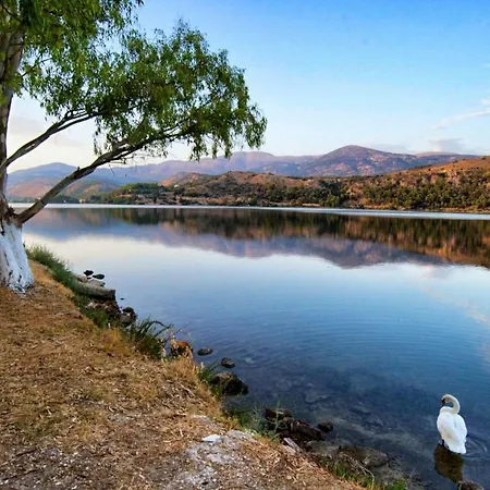 Chrysianna Seaview *