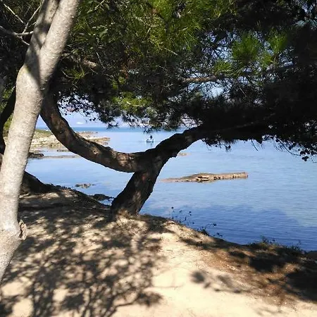 Chrysianna Seaview Apartman Argosztóli